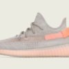 Yeezy Boost 350 V2 "True Form" Sneaker