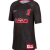 Nike FC Liverpool X LeBron James Trikot Kids F061