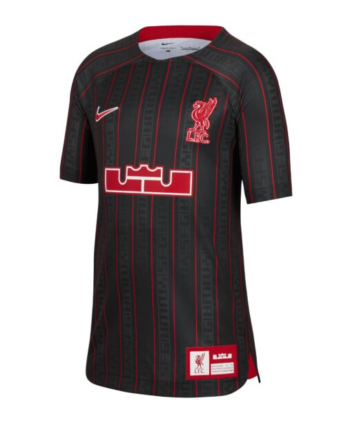 Nike FC Liverpool X LeBron James Trikot Kids F061